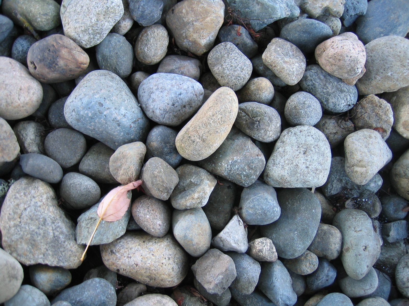 rocks.jpg